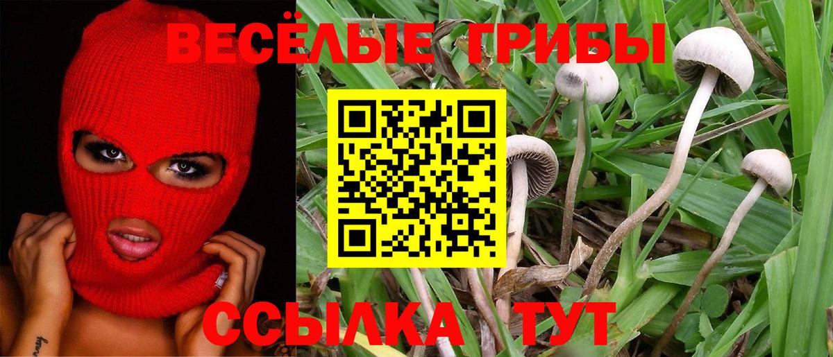 Галлюциногенные грибы Magic Shrooms  Вход с VPN  Урай  Псилоцибиновые грибы Psilocybe 